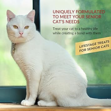 INABA Churu Senior Lickable Cat Treats, Chicken, 24ct | Senior 10+ support, Brain support, Immune support, 90% moisture, 7 calories, Grain-free, 24 x 0.5 oz tubes