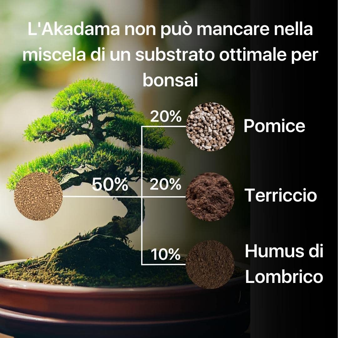 ZOMA Akadama dla profesjonalnego bonsai, ziarna 2-5 mm, japońska glina do bonsai i sukulentów twardych odmian, podłoże wulkaniczne, drenaż i przeciw stagnacji - 1,5 l