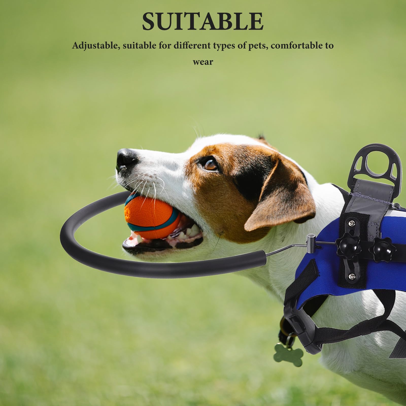 Imbracatura a Cerchio per Cane Cieco Regolabile Antiurto Portatile