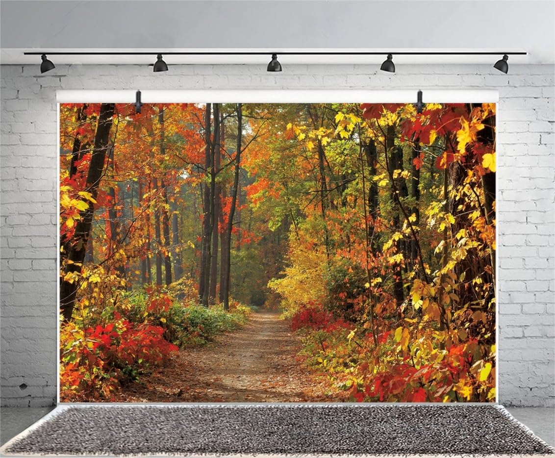 3x2,5m Sfondo paesaggio autunnale Autunno foglie di acero campagna strada sfondo Autunno foresta sfondo fotografico Decorazione per feste di compleanno Adulti Ritratto foto di scena