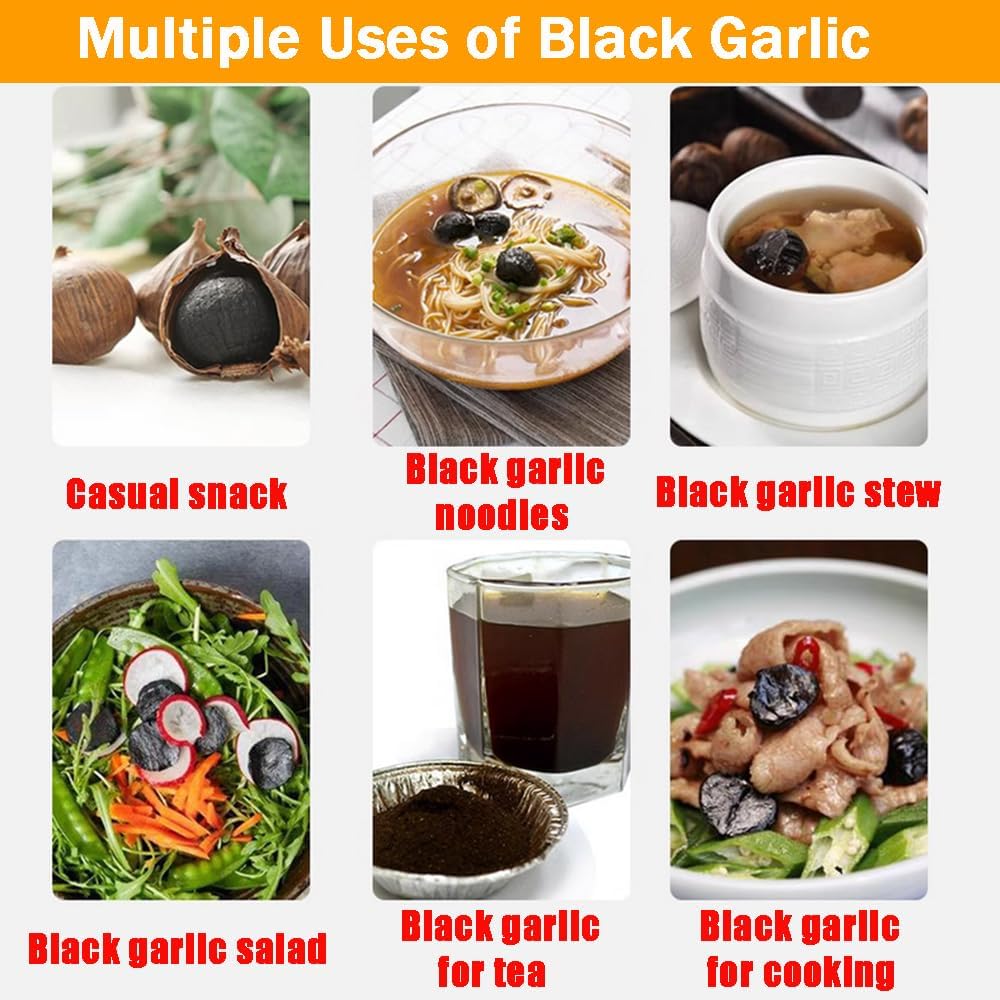 INTBUYING 110V 6L Multi-functional Health Fermentation Pot for Black Garlic Yogurt Enzyme Natto Sweet Rice Fruit Wine Kimchi Fermenter with Stainless Steel Shelves
