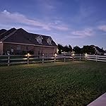 Review Image by OlGreenEyes OlGreenEyes