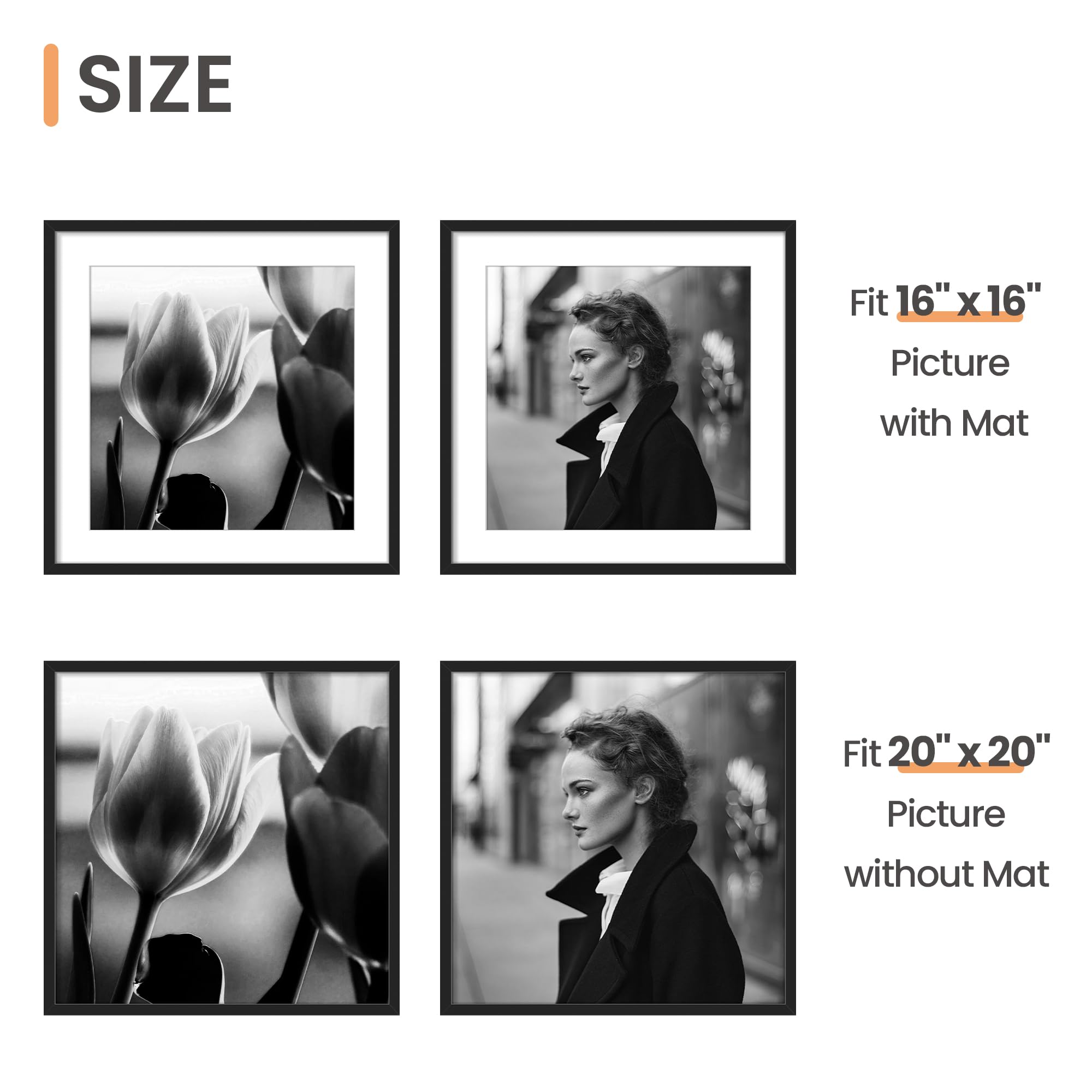 https://m.media-amazon.com/images/I/71ga-LNcahL.jpg