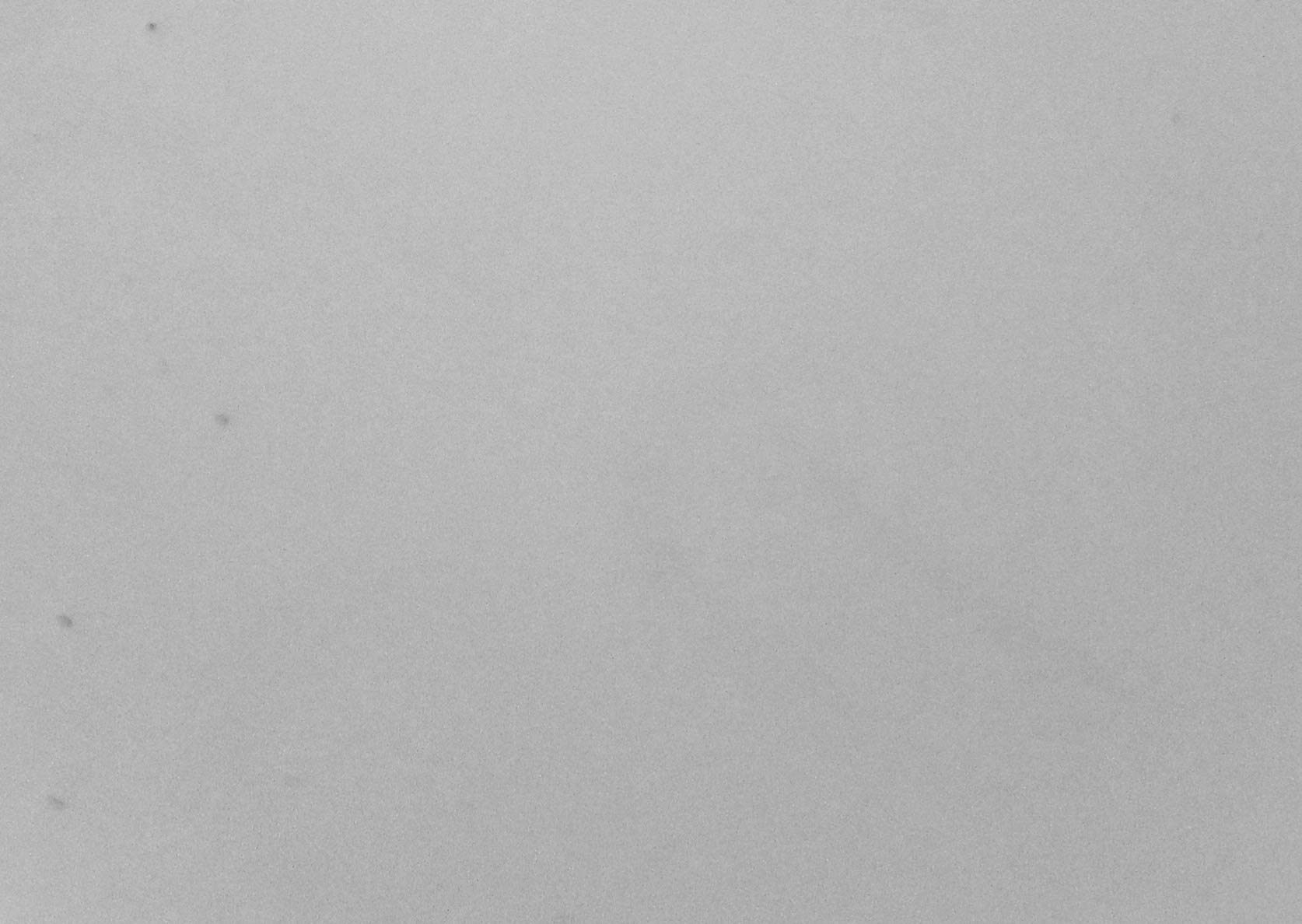 US Marine Products LLC Commercial Grade Topside Paint Light Gray Quart