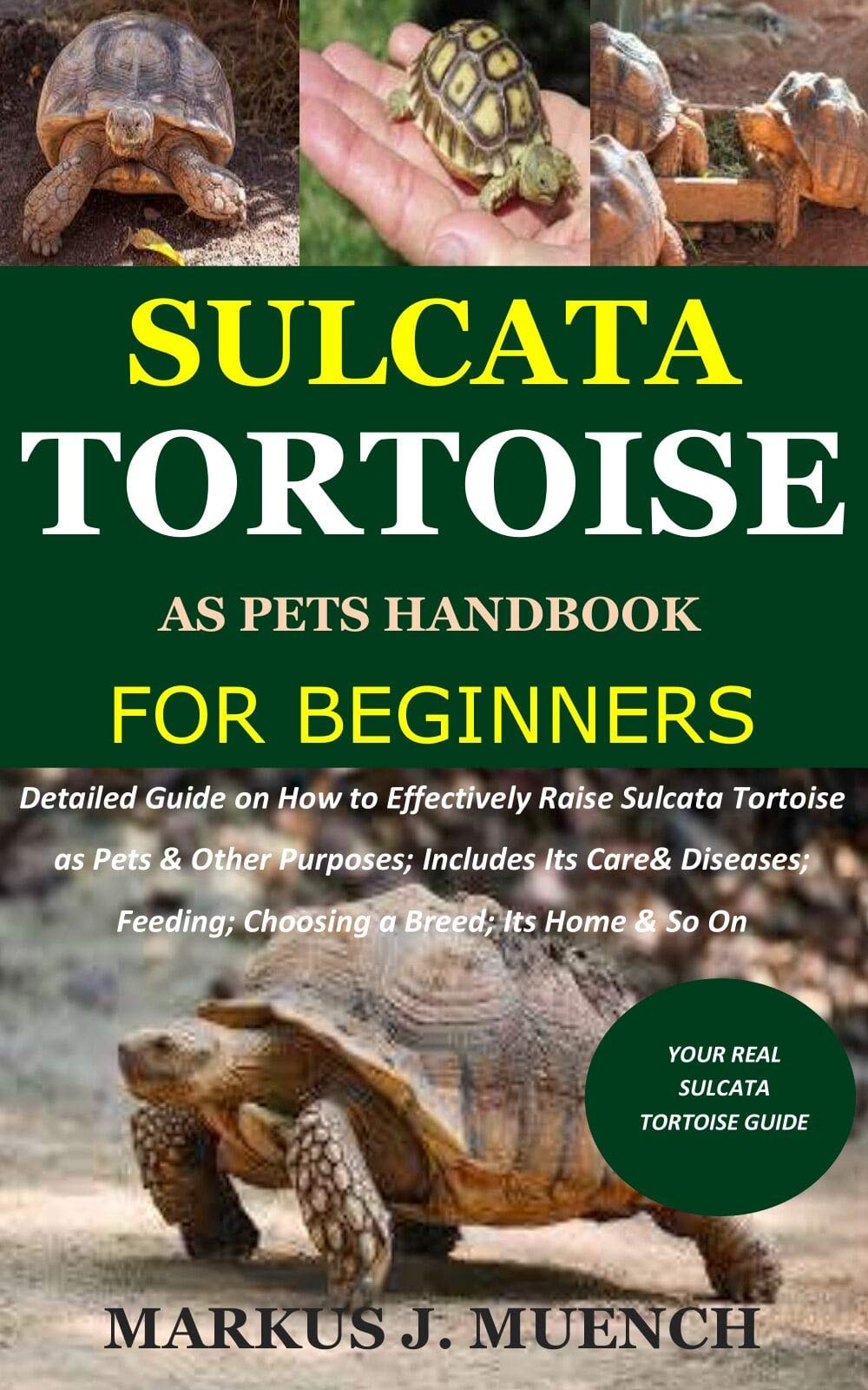 Buy Sulcata Tortoise as Pets Handbook for Beginners Detailed Guide on