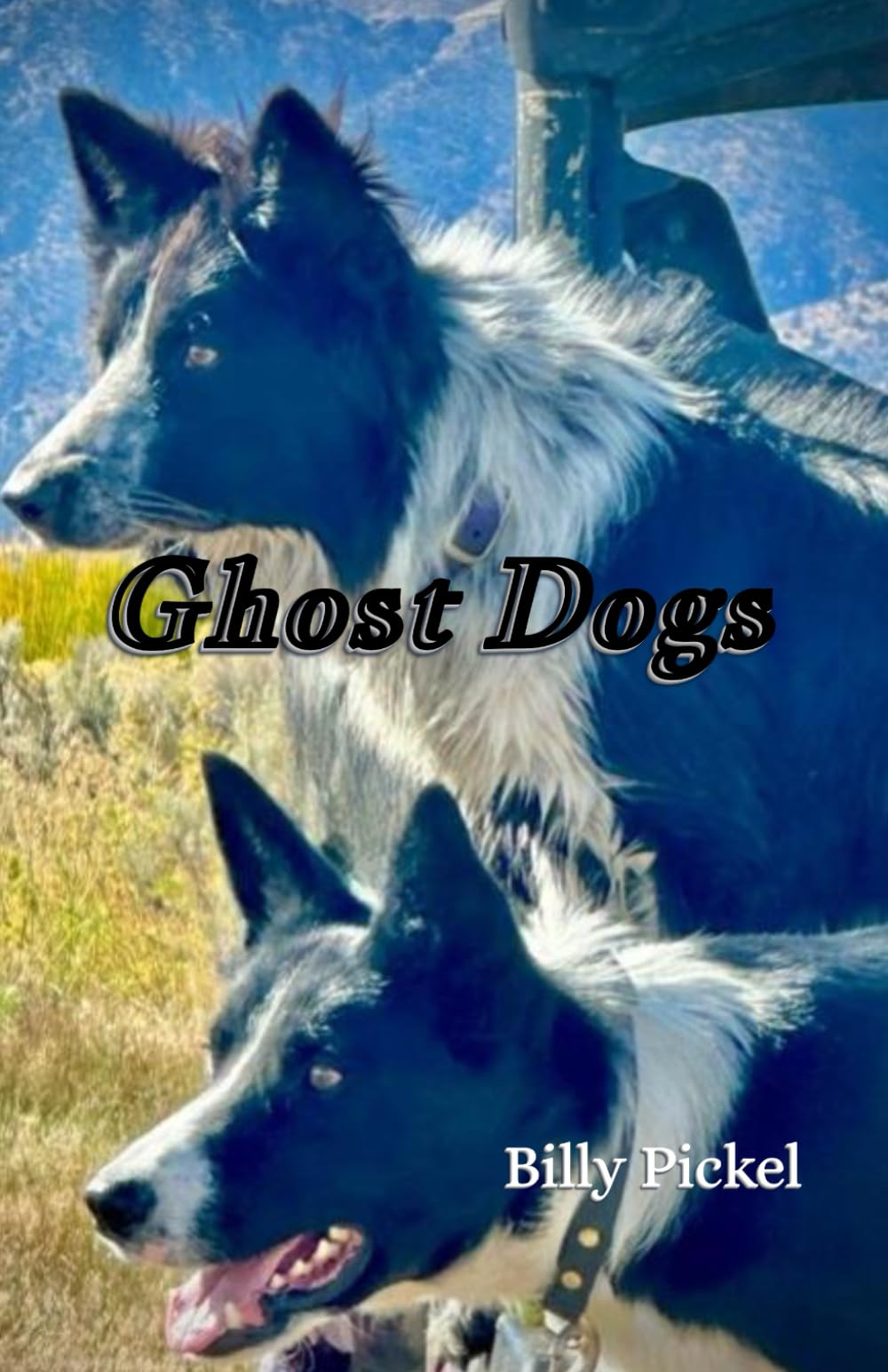 Ghost Dogs (Molly the Sheepdog)