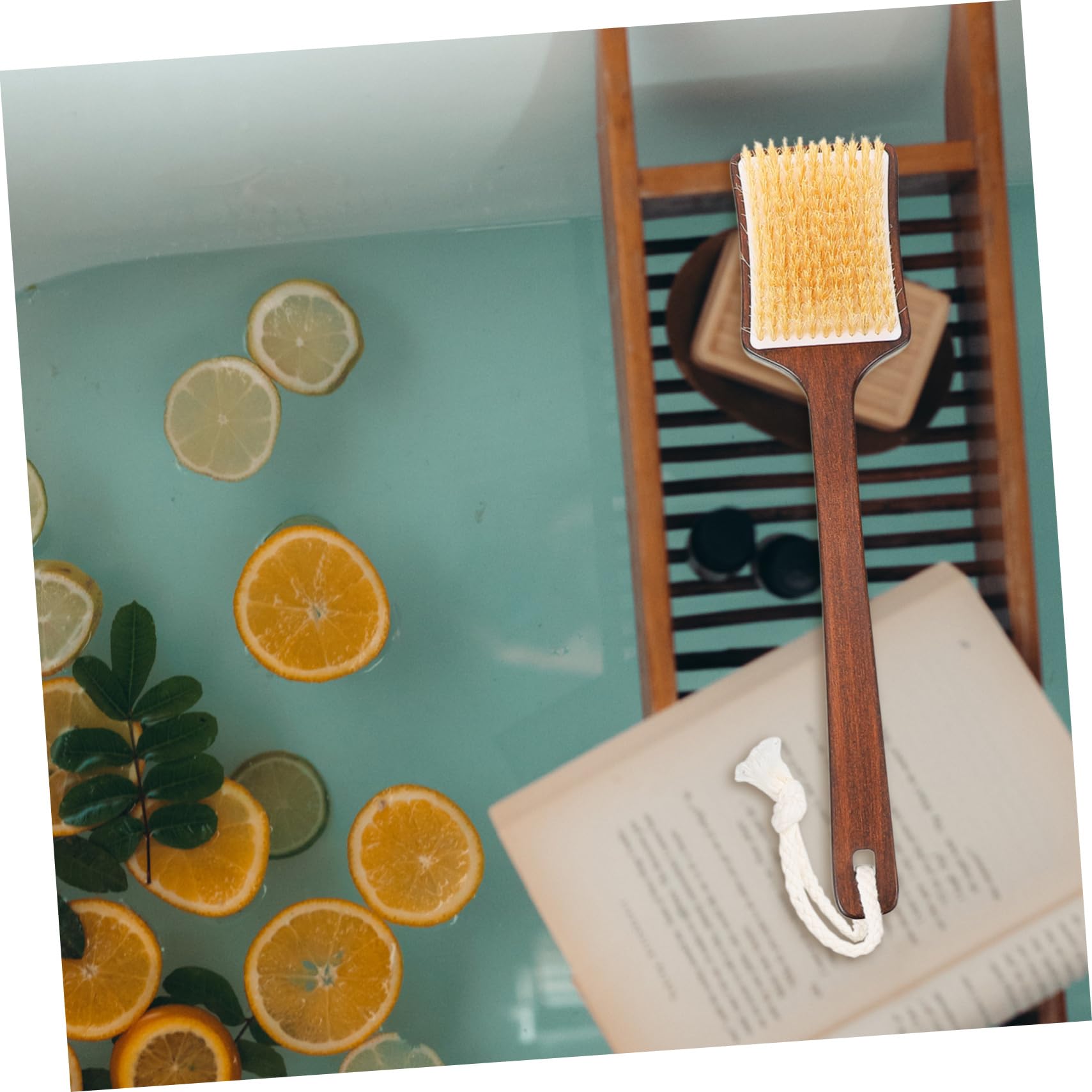 Didiseaon 3 Cepillos De Baño De Pelo De Cepillo De Espalda Para Ducha Para Mujeres Cepillo De Ducha Con Mango Largo Para Hombres Cepillo De Cepillo De Ducha Cepillo De