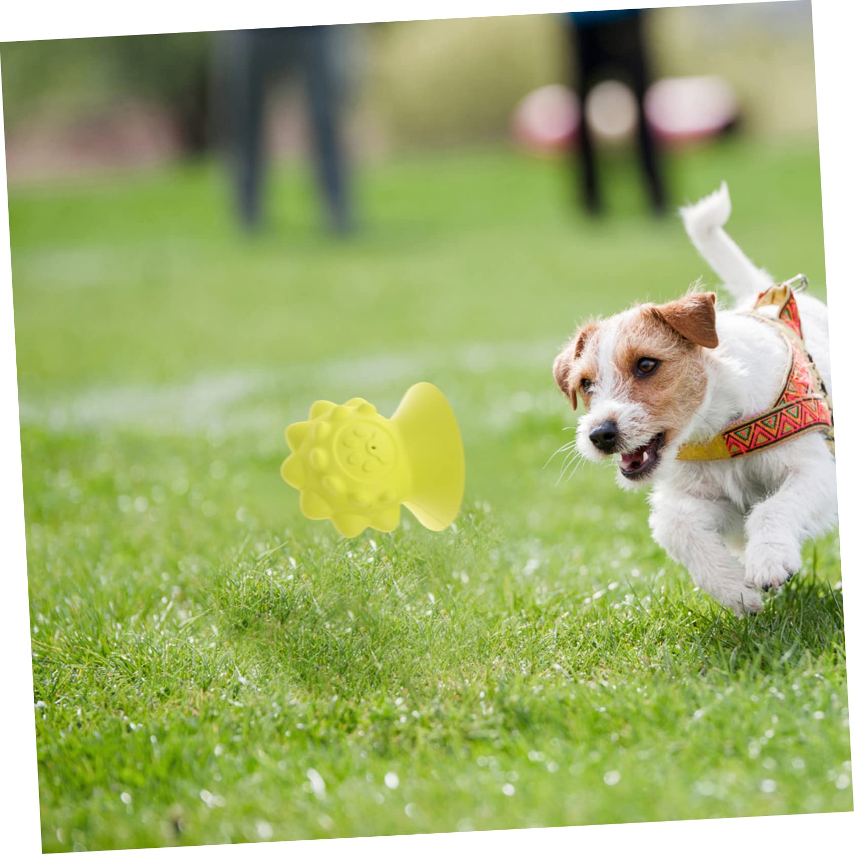 INOOMP 3piezas Juguete para De Goma Divertido y Resistente para Cachorros y Estimula La Masticación Color