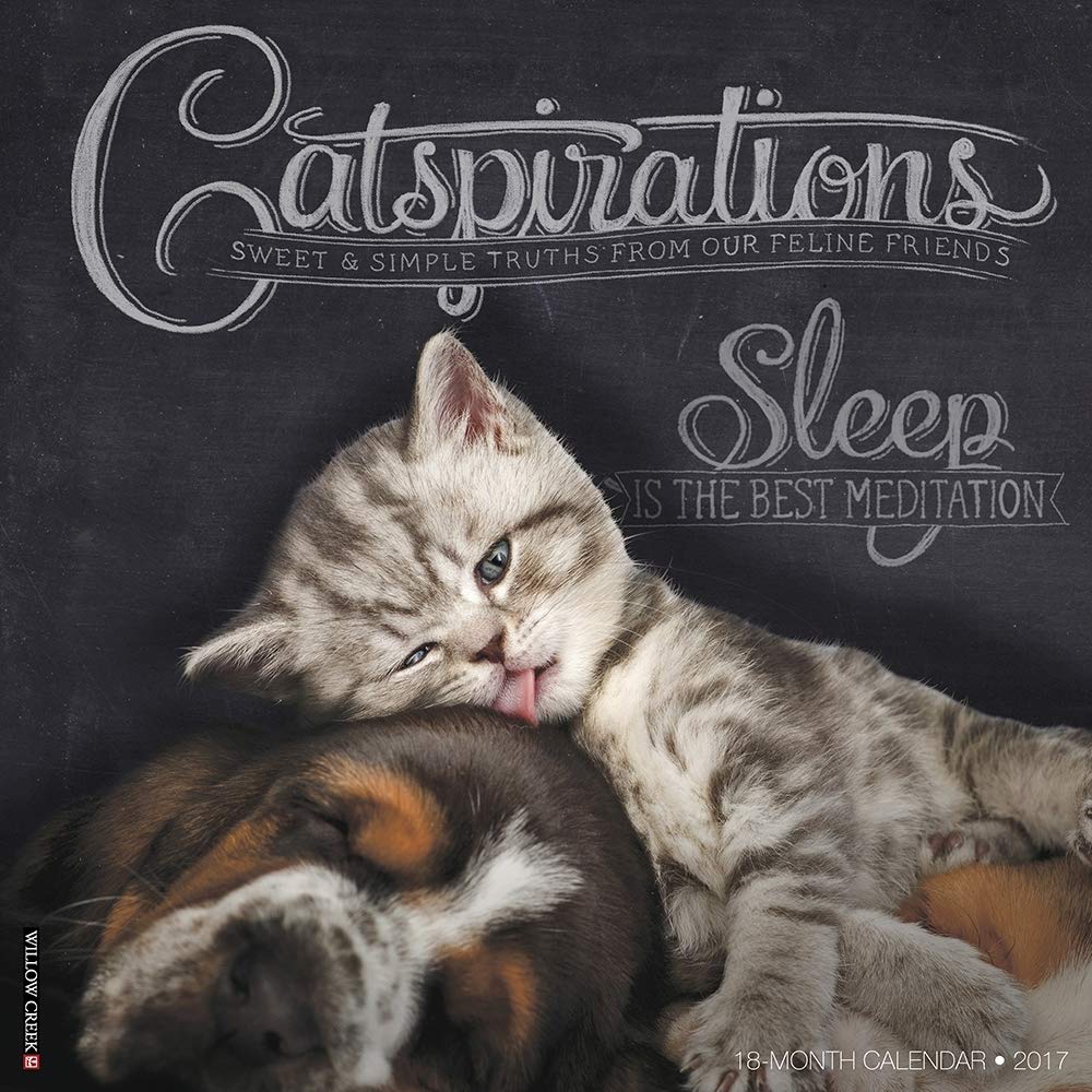 Catspirations 2017 Wall Calendar Calendar – Wall Calendar, 15 August 2016