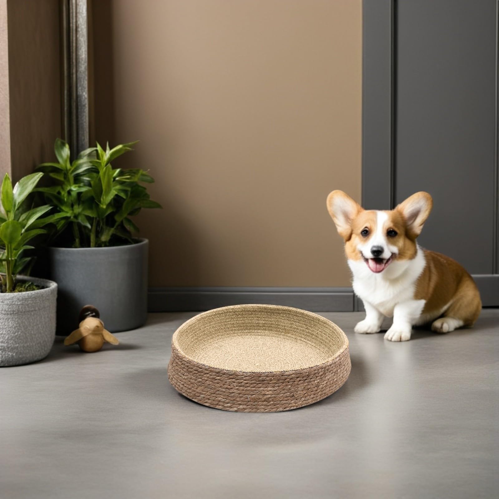 minkissy Colchoneta Tejida de Paja y Sauce para Mascotas Pequeñas, Cama Nido Redonda para Perros y Gatos, Resistente a Arañazos, Adecuado para Zonas de Descanso Hogar