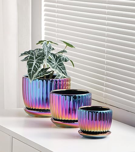 Miniatura 5 de Ton Sin Macetas de cerámica, color morado, juego de 3, pequeñas macetas esmaltadas para suculentas con orificio de drenaje, maceta de cactus con