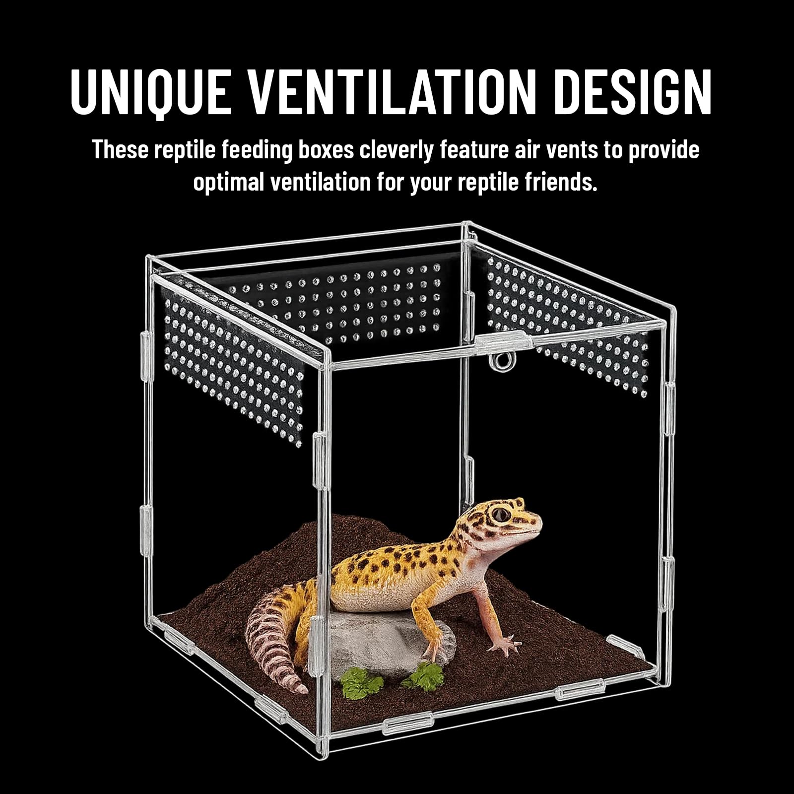 Stick Insect Enclosure, 10x10x10cm Transparent Reptile Terrarium ...