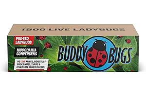 1500 Live Ladybugs for Your Flourishing Garden
