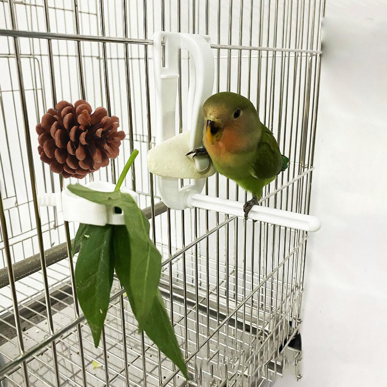 10 Pcs Natural Pine Cones Bird Toys, Parrot Chew Toy for Cage, Wood Foraging Shredding Playthings Conure Cockatiel Parakeet African Grey Macaw Nut Fixed - image 7