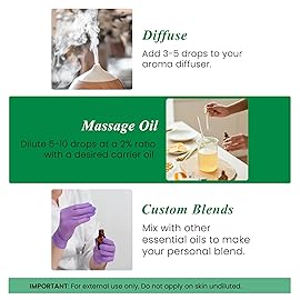 Handcraft Blends Organic Rosemary Essential Oil - 1 Fl Oz - 100% Pure and Natural - Premium Grade Essential Oil for Diffuser and Aromatherapy