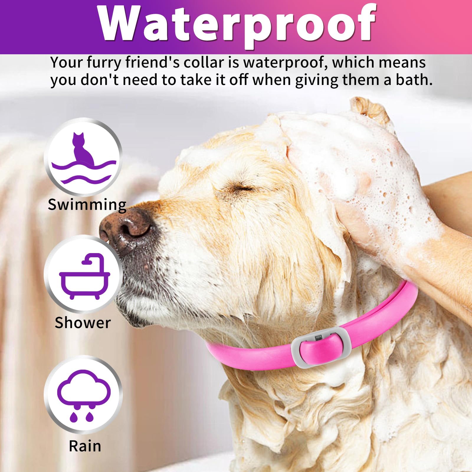 Zeckenhalsband für Hunde 4 Stück, Flohhalsband für Hunde, Verstellbar und Wasserdicht, Sicher und Natürlich, 60 cm Length, 24 Monate Schutz, für Kleine, Mittelgroße und Große Hunde (Rosa&Lila)