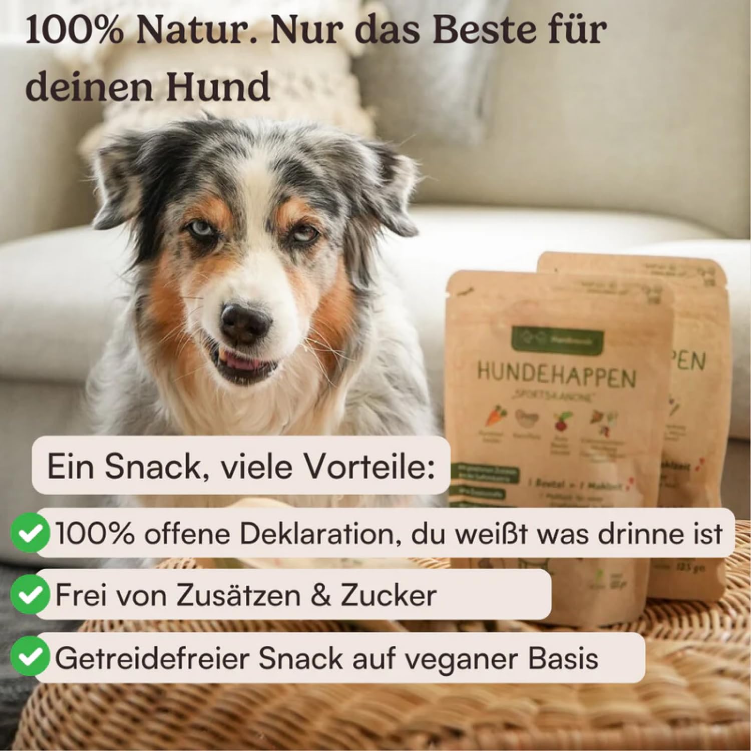Hunderunde - Hundesnack Morgenmuffel für einen Guten Start in den Morgen - Hundeleckerlis mit Vitaminen, 39 Ballaststoffen & Kohlenhydraten - 100% hypoallergen, gut verträglich & vegan (9X 125g)