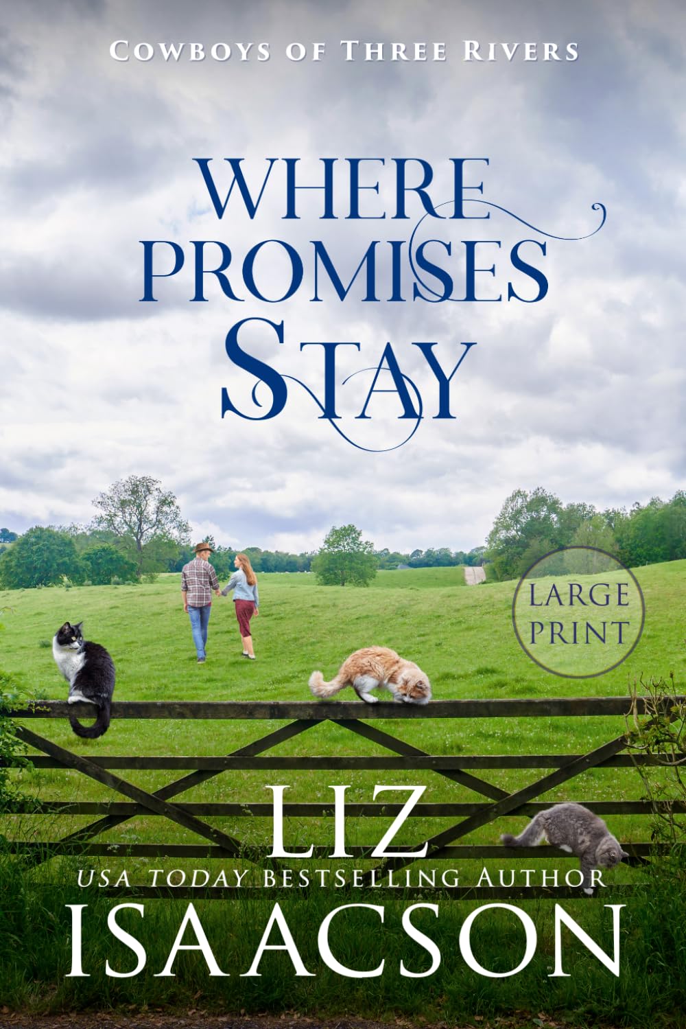 Where Promises Stay: A Sweet Opposites Attract Cowboy Romance