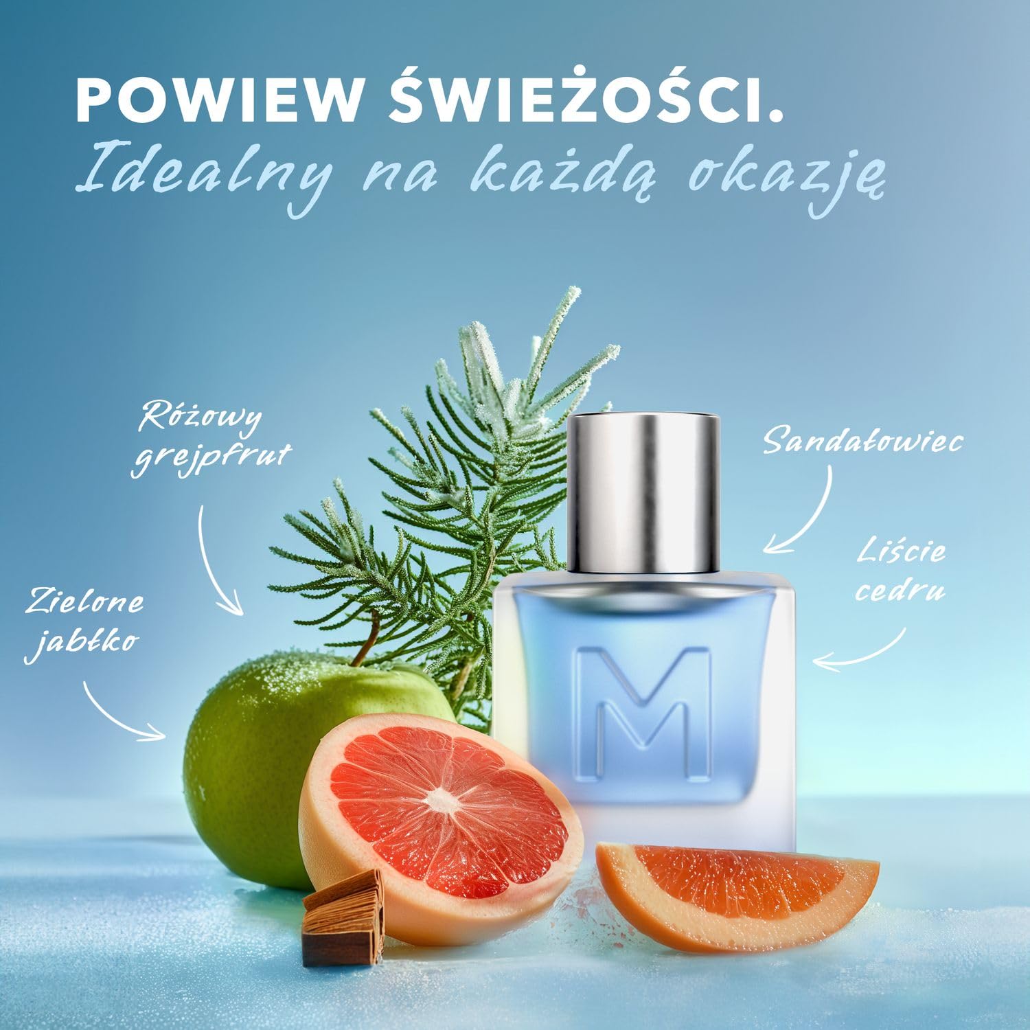Mexx Man Woda Toaletowa dla Mężczyzn o Świeżym, Aromatycznym, Drzewnym Zapachu, 30 ml