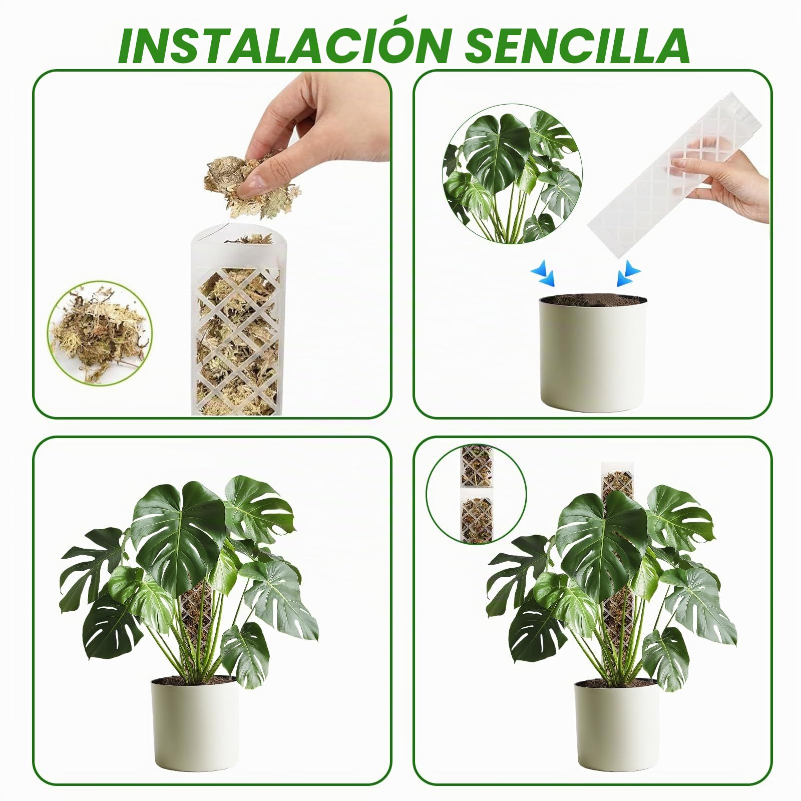 FAELNK Varilla de Musgo para Enrejado de Monstera Enrejado para Plantas de Interior Varilla para Plantas Monstera con Planta Ayuda para Riego Bridas para Plantar en el Jardín (Blanco)