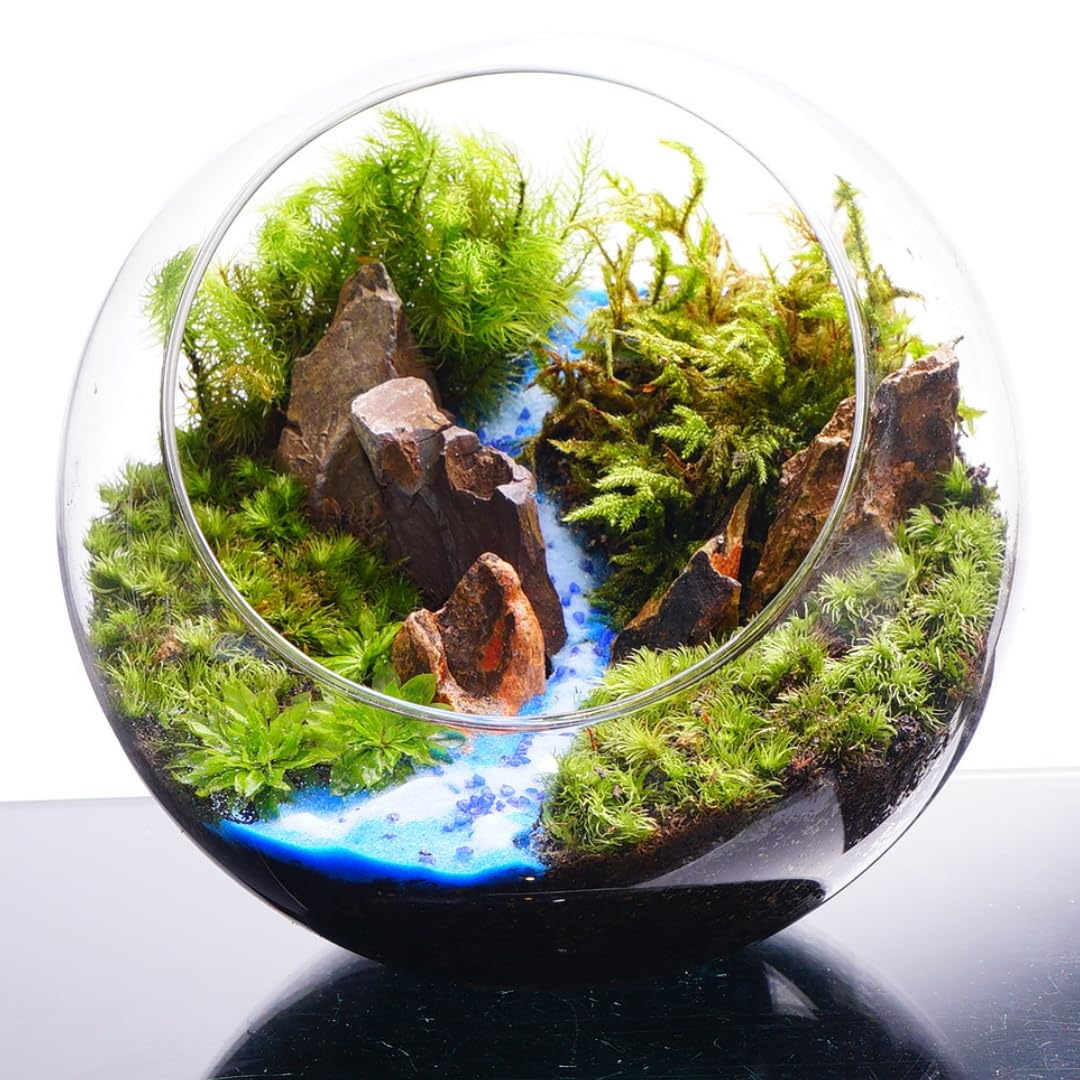 Amazon｜【苔庵介る】 苔テラリウム 完成品 16cm 斜口ボトル 青砂 川の