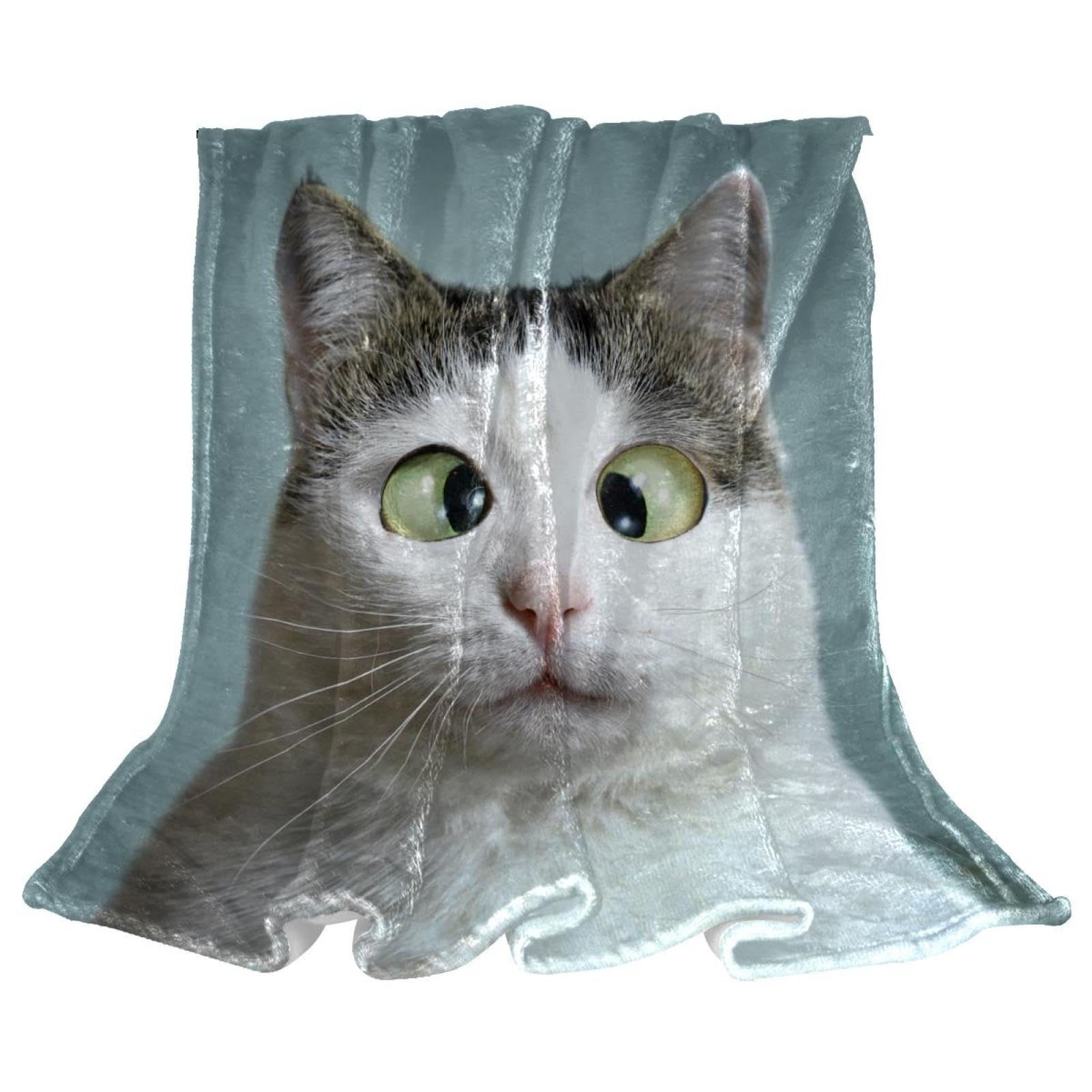 Couverture de lit chat contre le froid pour chambre et grand canapé
