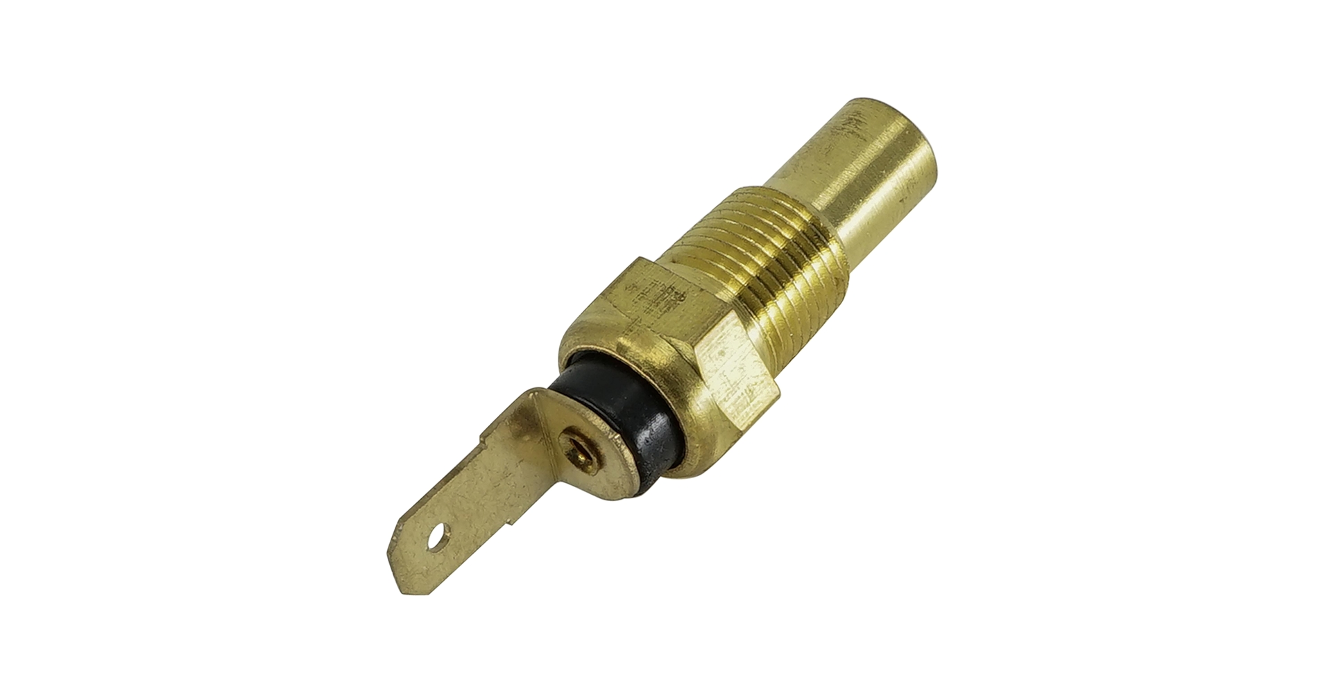 【9453 71gajOrIElL.jpg_BO30,255,255,