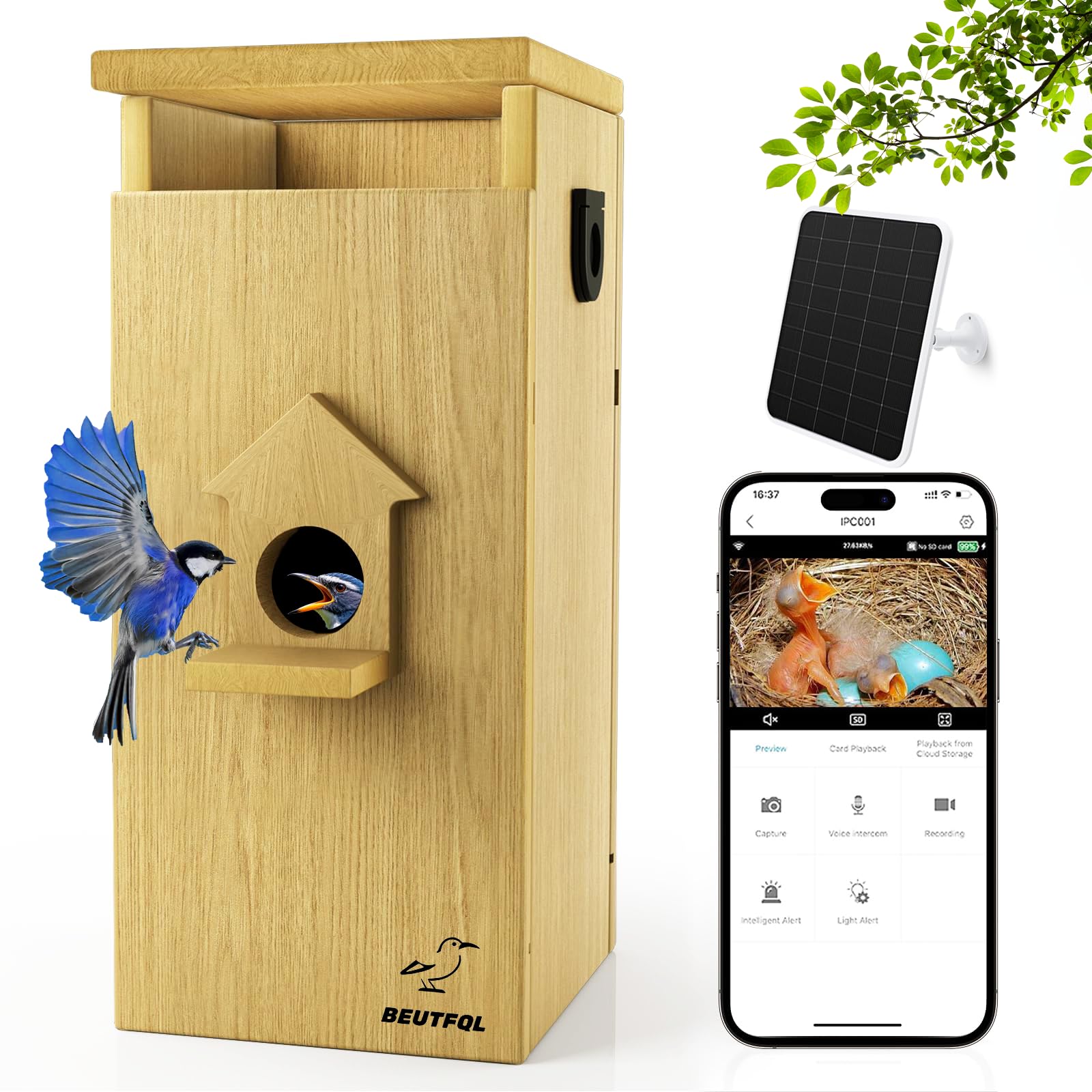 Smart Bird House with Camera Solar Powered,1080HD Live Video & Night Vision for 24/7 Nesting Recording, Auto Detect & Notify, Waterproof Bamboo