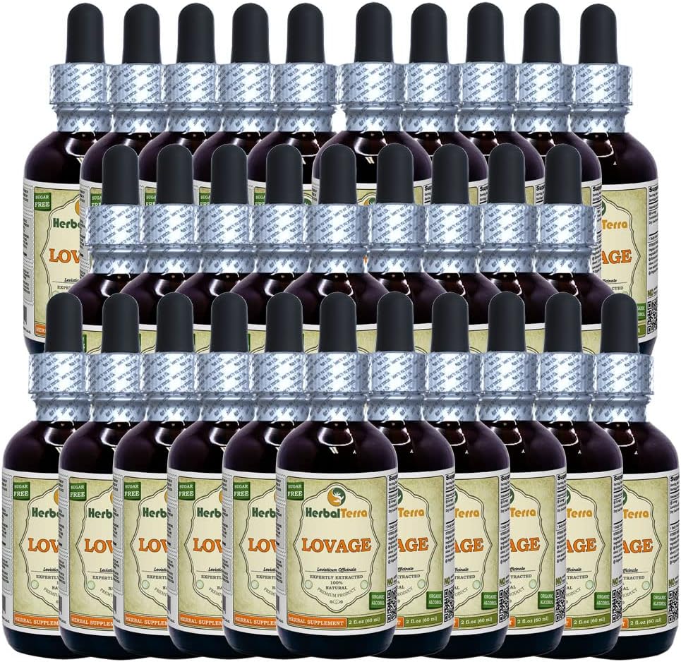 Lovage (Levisticum Officinale) Tincture, Organic Dried Leaves Liquid Extract (Brand Name: HerbalTerra, Proudly Made in USA) 30x2 fl.oz (30x60 ml)