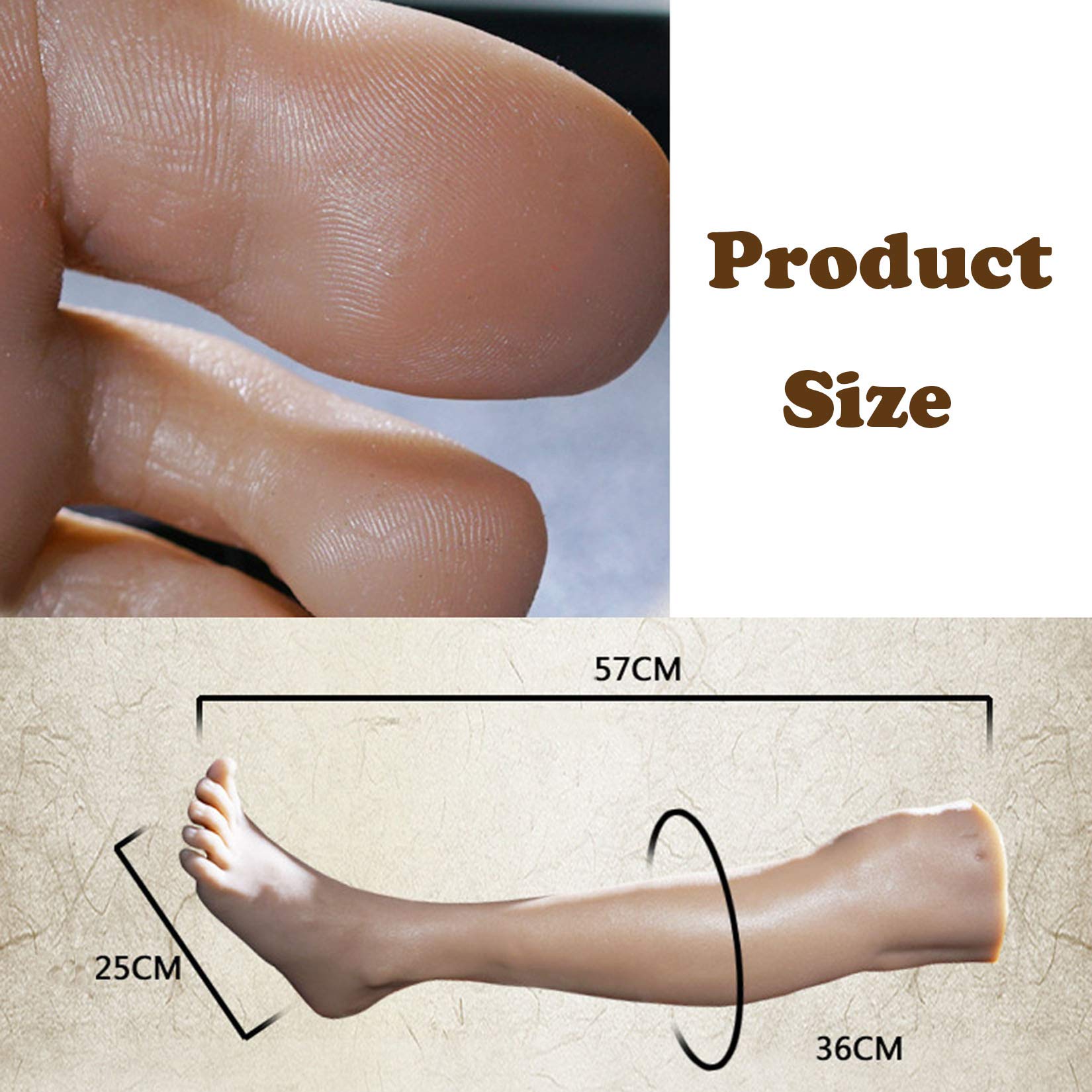 Amazon.co.jp: シミュレーションマン足モデル、太ももシリコンモールド