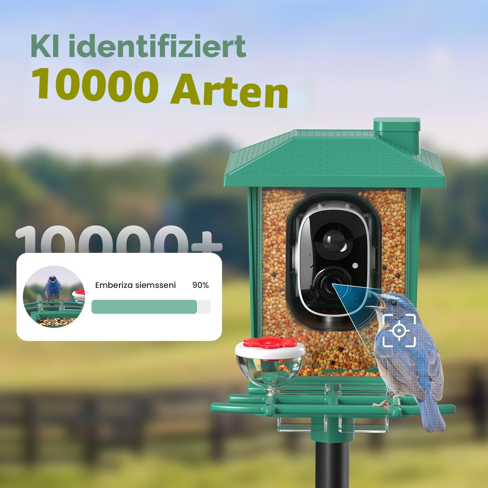 Vogelhaus mit Kamera Outdoor Solar Vogelfutterspender: 2K WLAN Vogelfutterhaus Wetterfest IP66 - Geschenke FüR Vogelliebhaber Ai Verfolgung EichhöRnchensicher - Bird Feeder Camera
