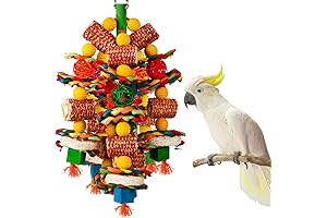 Bird Toys for Medium Birds: Corn Cobs and Loofah Slices