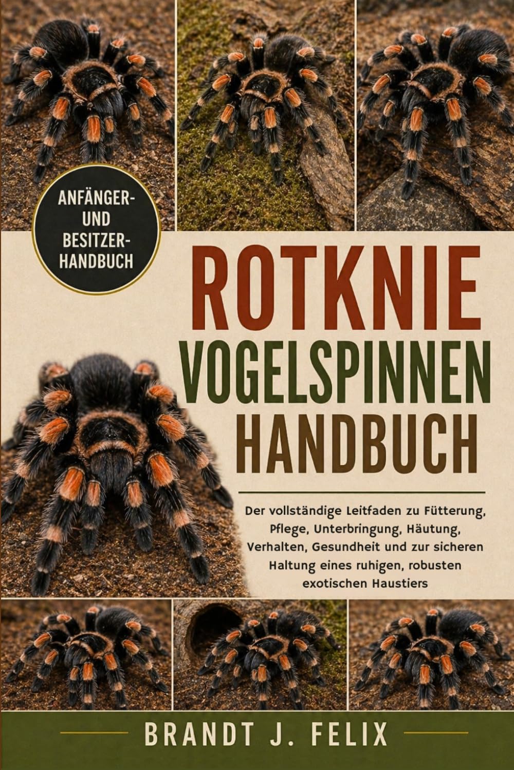 ROTKNIE-VOGELSPINNEN-HANDBUCH: Der vollständige Leitfaden zu Fütterung, Pflege, Unterbringung, Häutung, Verhalten, Gesundheit und zur sicheren Haltung eines ruhigen, robusten exotischen Haustiers