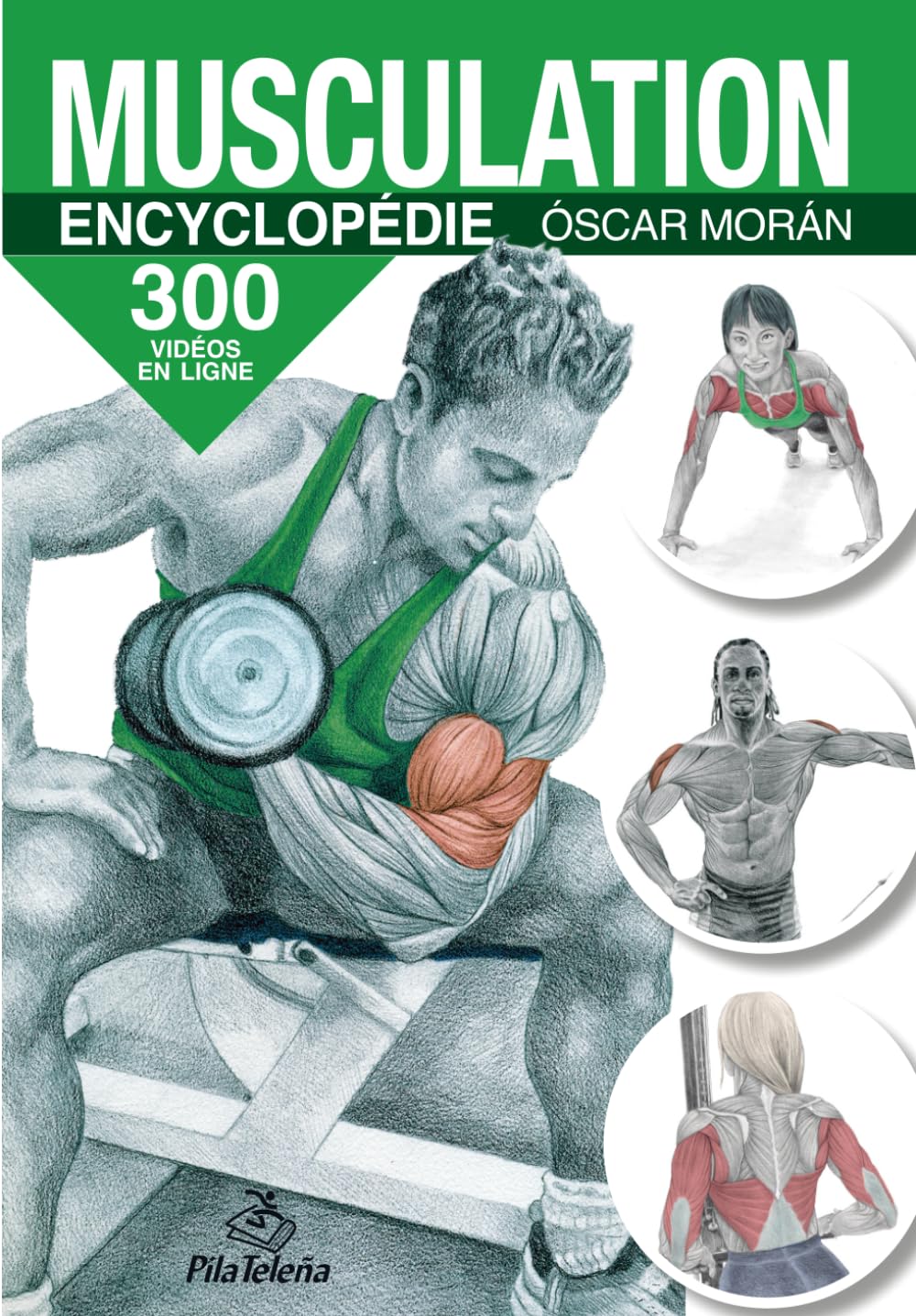 MUSCULATION ENCYCLOPÉDIE