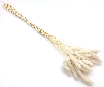 PEPPERLONELY 30pc Natural Dried Flower Colorful Lagurus Ovatus Uraria Picta Rabbit Tail Grass Bouquets Bunches Home Decoration 16 Inch, White