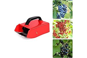 Blueberry Picker with Metallic Comb and Handle