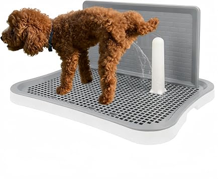 Dog Pee Pad Holder, Indoor Dog Potty Pad with Splash Guard, Dogs Toilet Training Tray for Small & Medium Dogs Under 27 lbs, Waterproof Easy-Clean 20.1"X15.6"X1.4"White