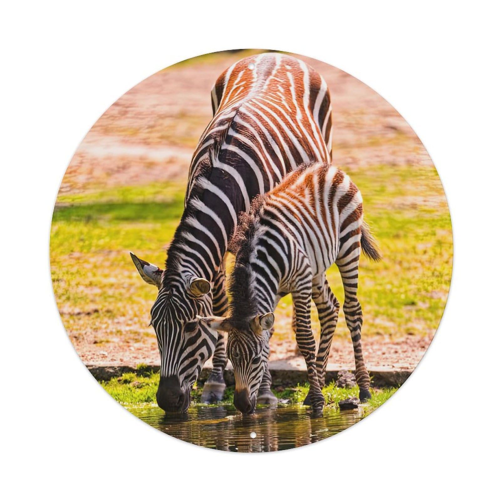 Zebras Wildlife Zebra And Its Cubs Vintage Metal Tin Sign Plaque Wall Decor for Cafe, Club, Garden Round Metal Poster 8x8Inch