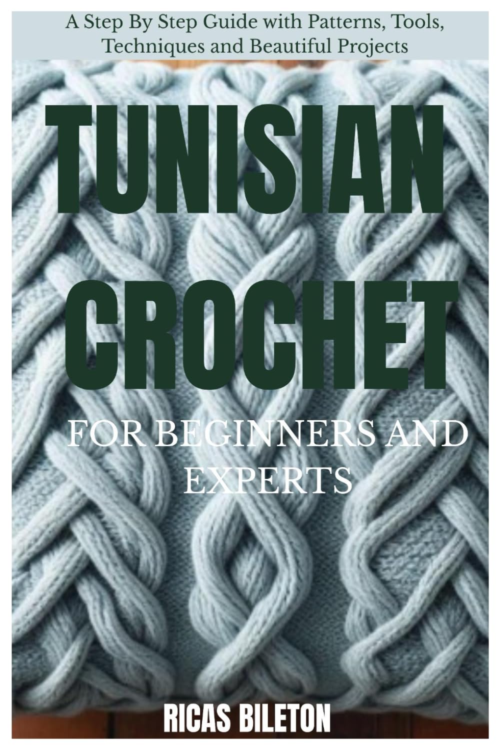 TUNISIAN CROCHET FOR BEGINNERS AND EXPERTS: Step By Step Guide with Patterns, Tools, Techniques and Beautiful Projects