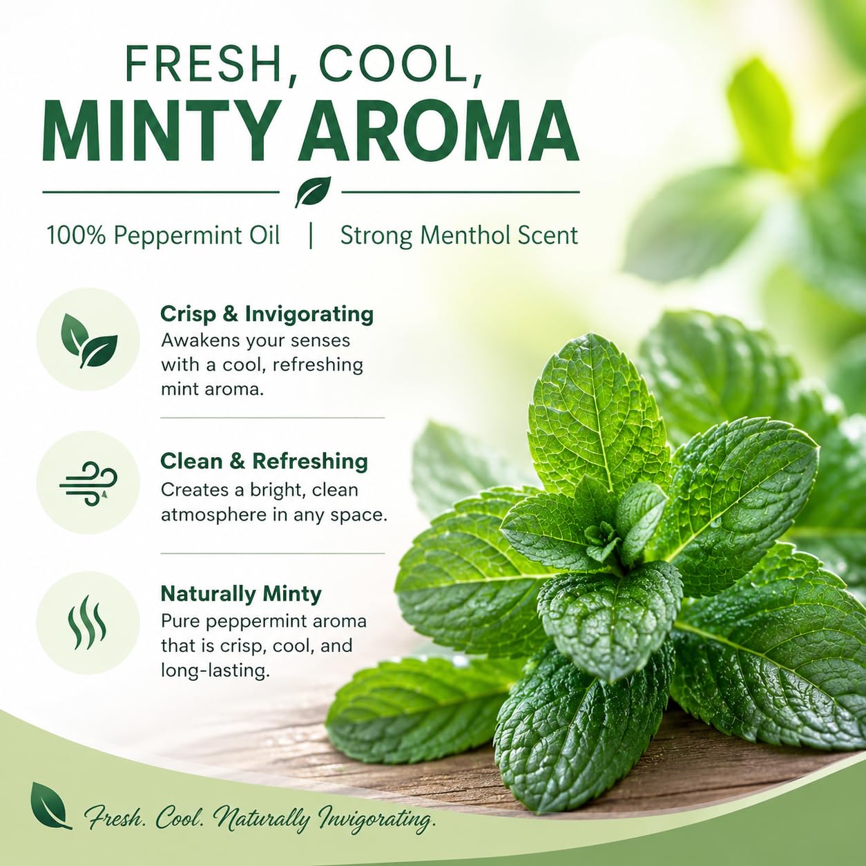 Peppermint Essential Oil 100% Pure, Uncut, 2 Oz : Amazon.ca