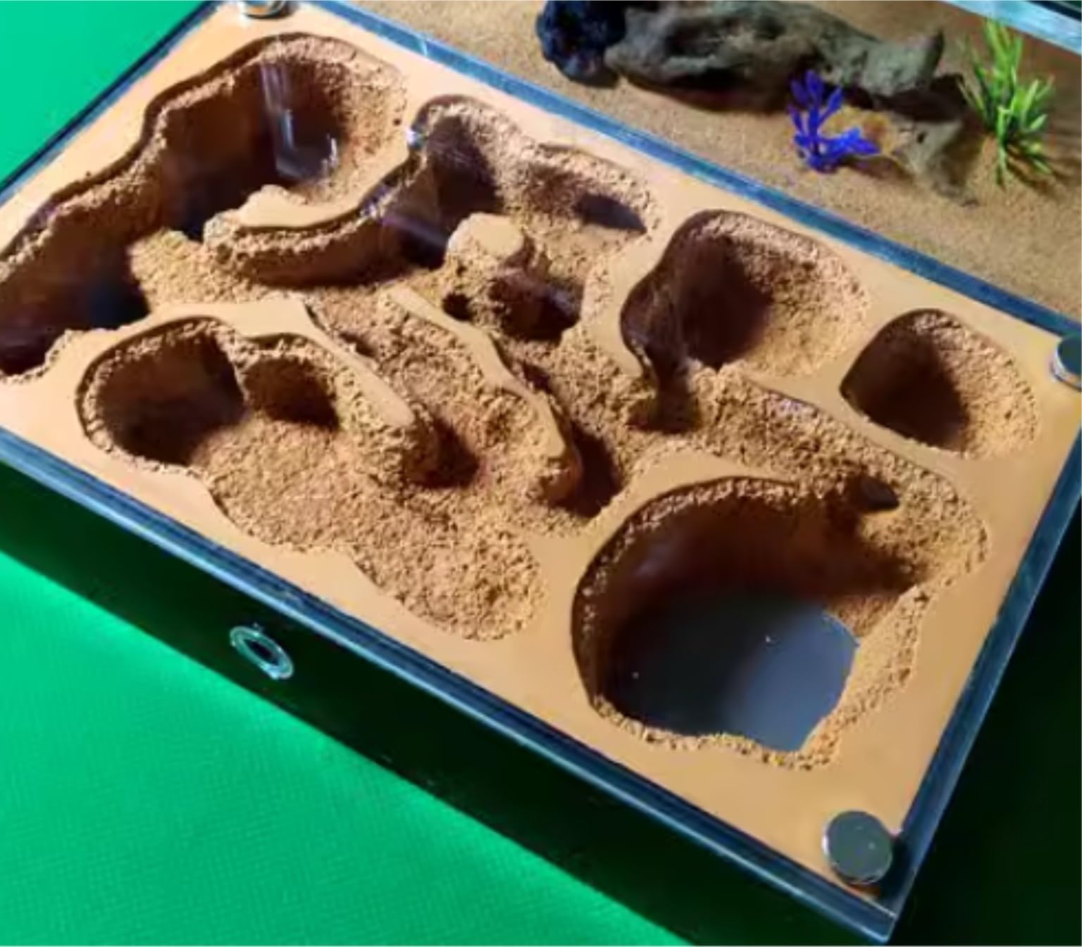 Ant Nest Granja De Hormigas, Hormiguero para Granja De Hormigas, Estudio del Comportamiento De Las Hormigas, Nido De Hormigas, Terrario, Formicario Educativo Granja Hormigas