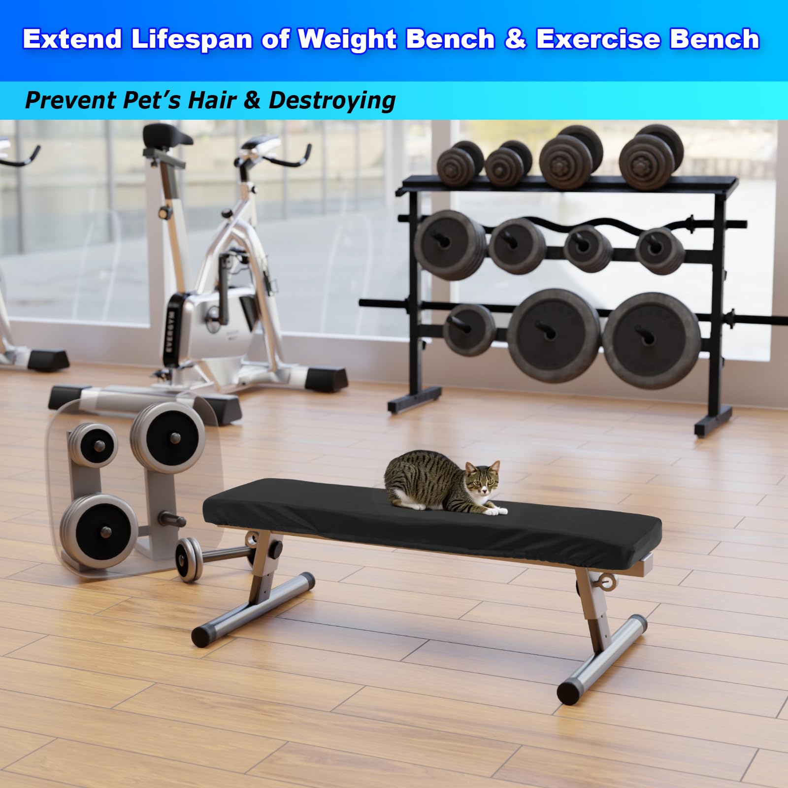 Funda protectora para banco de pesas, banco de gimnasio y entrenamiento, para ejercicio plano, para sentarse, banco de fitness, elástica, a prueba de polvo y lavable