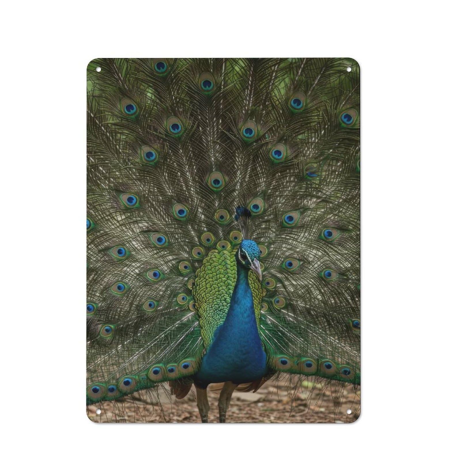 Junmoney Style-21 Decorative Metal Sign With Peacock Displaying Feathers Design 40X30cm, Retro Bistro Wall Plaque For Coffee Bar, Kitchen, Bistro Or Tea Corner