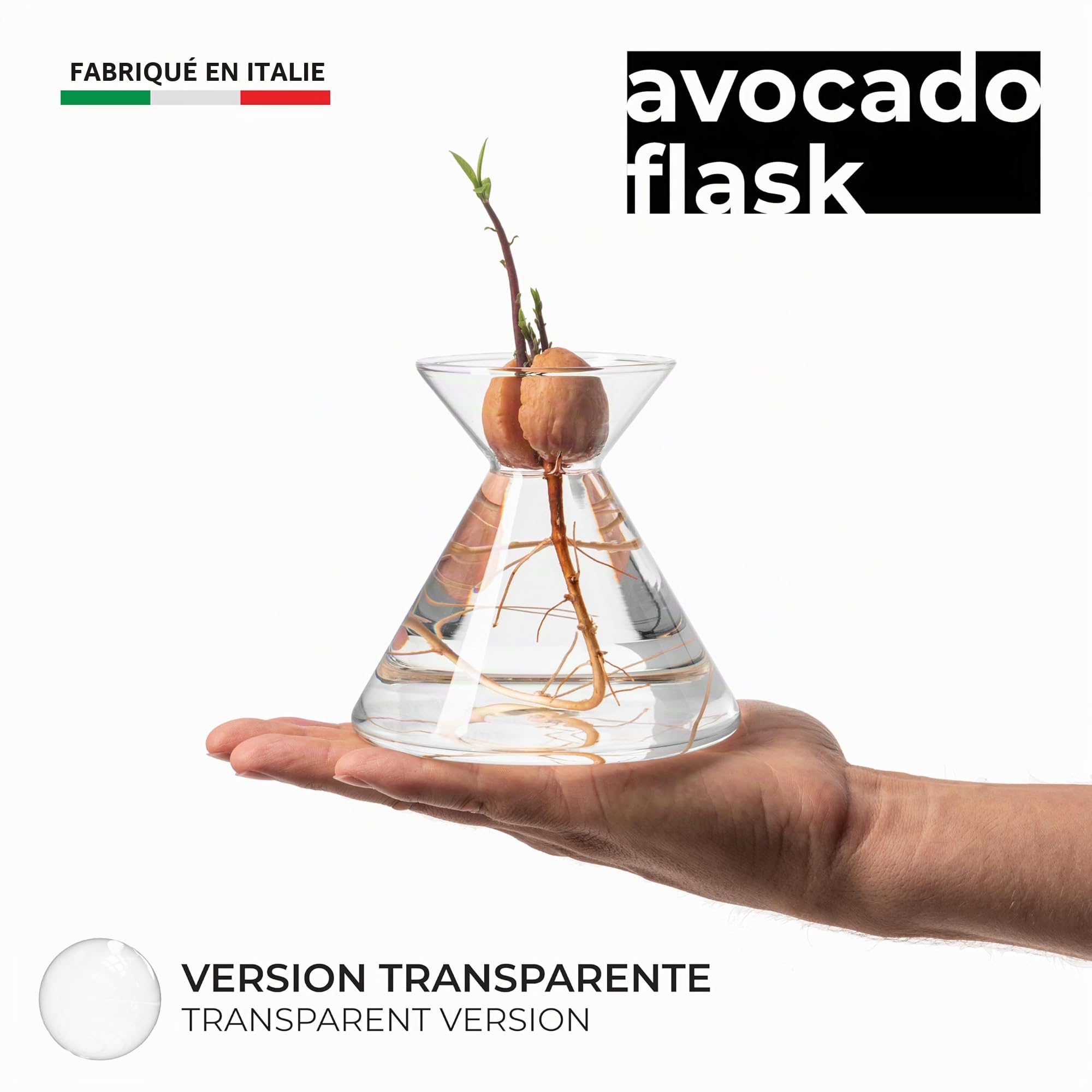 Avocado Flask - Pot en Verre pour graines d'avocat - Kit de Culture de Plantes dans l'eau. Cadeau Vert décoration d'intérieur (Verre Transparent)