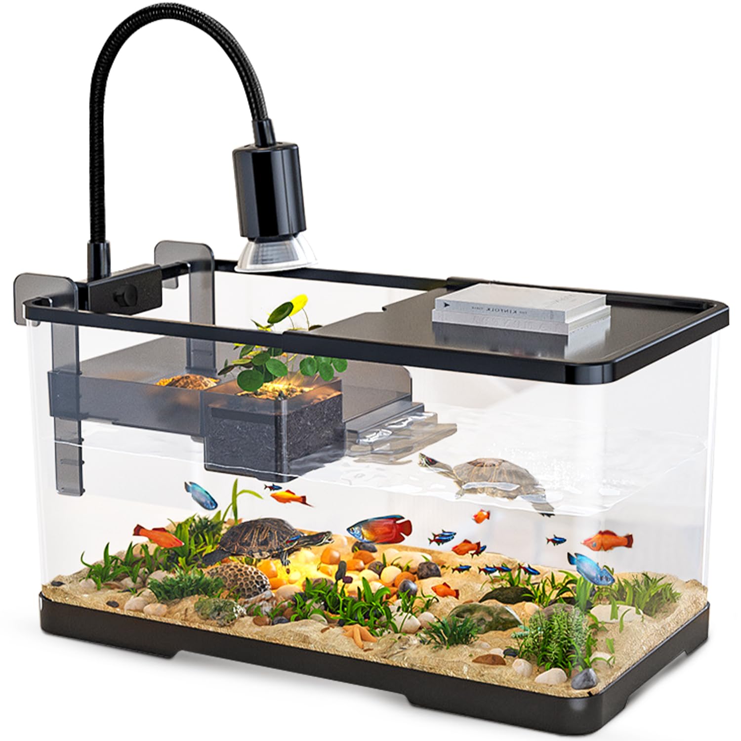 Amazon.com : (Tank + Light + Filter Balls) Turtle Tank Kit