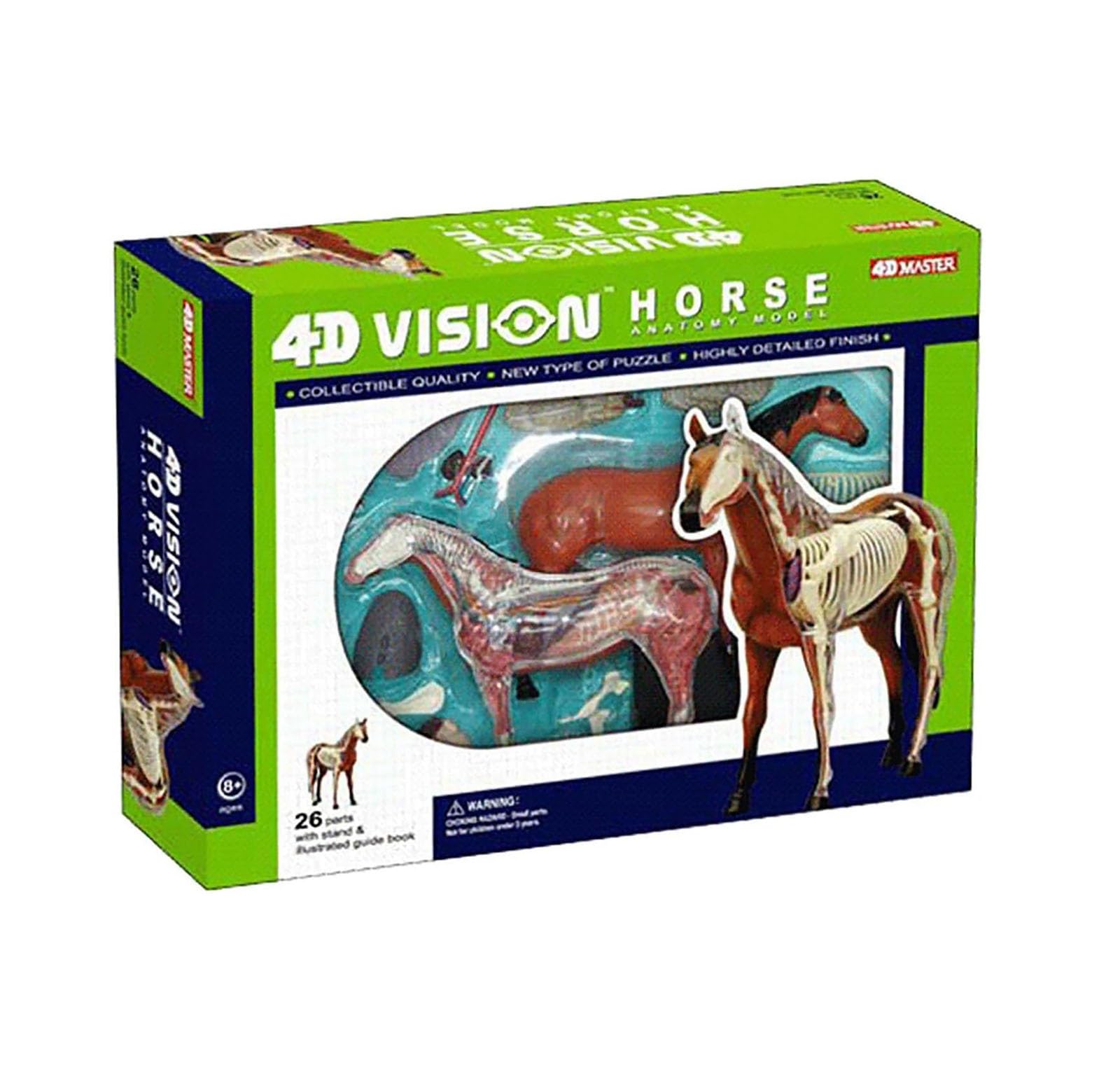 4D Caballo Anatomía Modelo - Animal Esqueleto Espécimen, Biología Desmontable, 26 Piezas para la Clínica de Mascotas Veterinaria FormaciónEscuela de Enseñanza Demostración