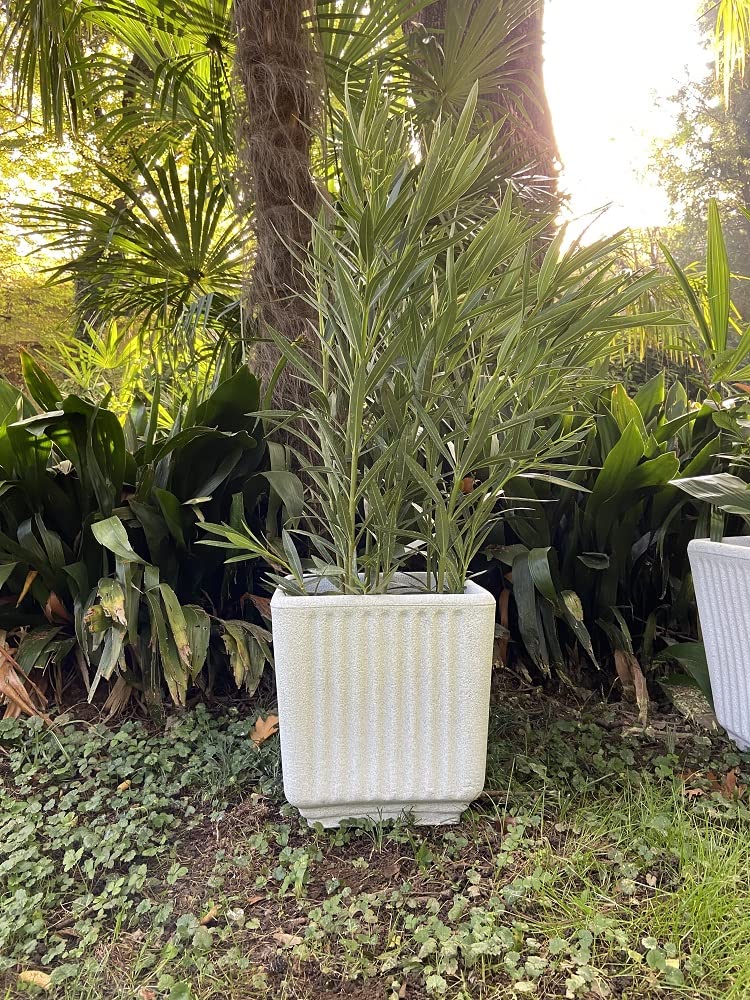Garden Italia Vasi da giardino Quadro centorighe GQC Lato 50 cm alt.45 cm Made in Italy 100% riciclabile - Vaso in polietilene color Pietra