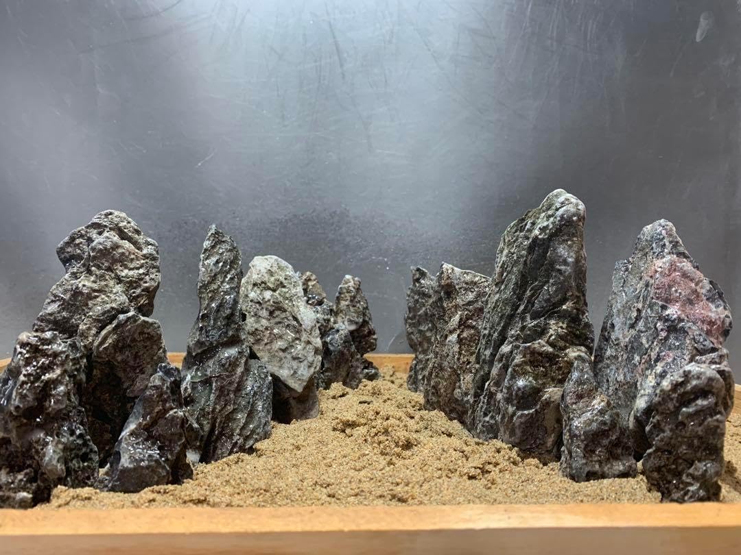 3[ ]ADA龍王石2.5キロ☆水槽 レイアウト アクアリウム 清流石 青龍石