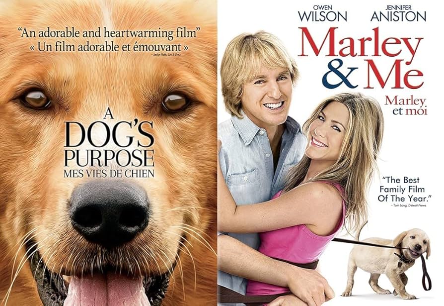 Amazon.com: A Dog's Purpose / Marley And Me [DVD 2-Pack] : Movies & TV