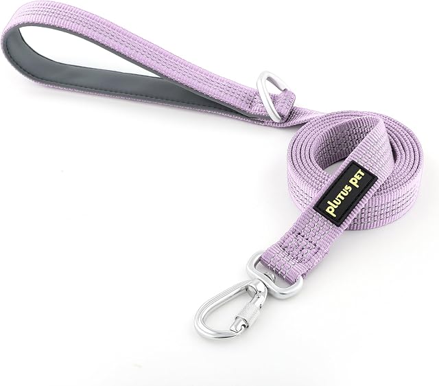 Plutus Pet Heavy Duty Dog Leash with Lockable Aluminum Carabiner, 4/6 Feet Long, Double-Sided Reflective Nylon, Padded Handle, for Puppy, Small, Medium and Large Dogs (Lilac Purple, 2.5 x 120cm)
